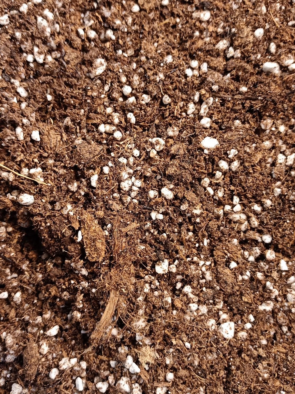 Etobur Bitki Torf Karışımı