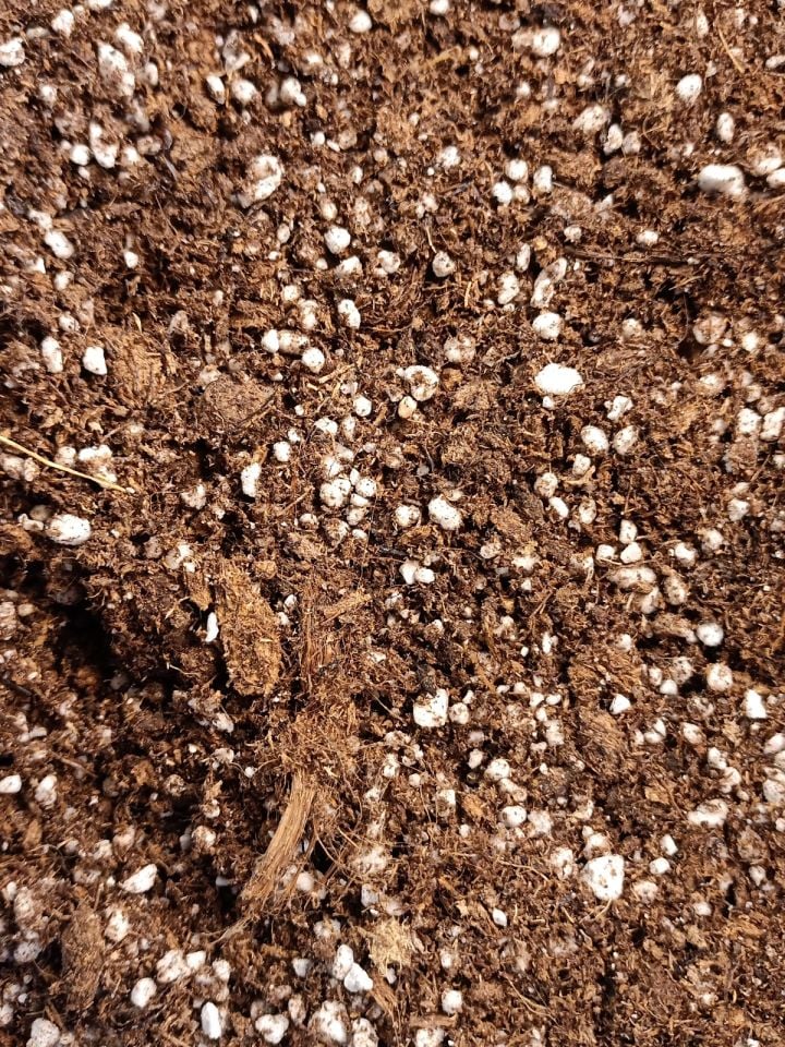 Etobur Bitki Torf Karışımı