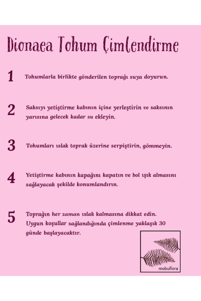 Dionaea muscipula ''Shark Teeth'' Tohum Yetiştirme Kiti